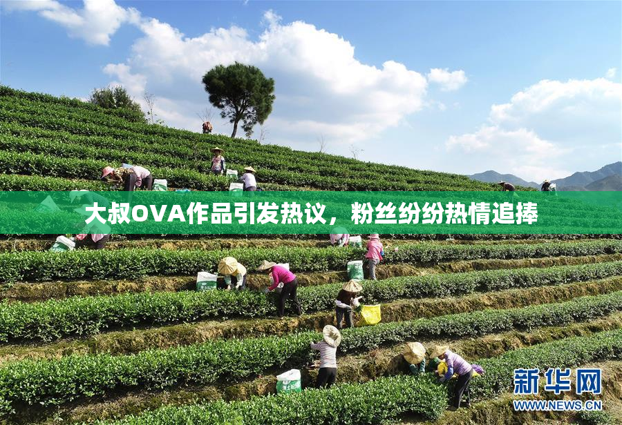 大叔OVA作品引发热议，粉丝纷纷热情追捧