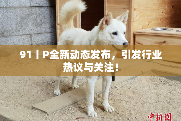 91丨P全新动态发布，引发行业热议与关注！