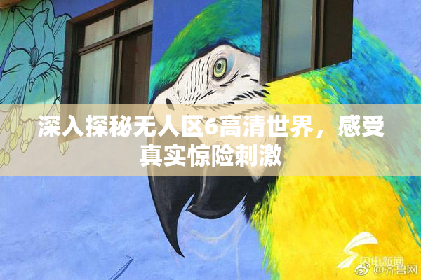 深入探秘无人区6高清世界，感受真实惊险刺激