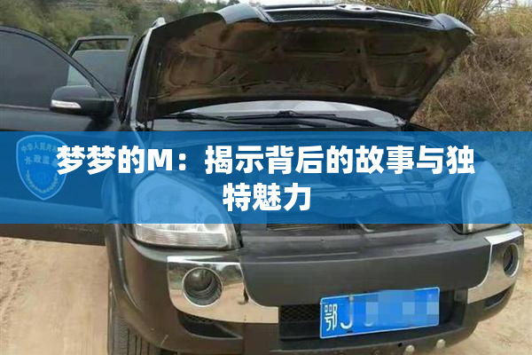 梦梦的M：揭示背后的故事与独特魅力