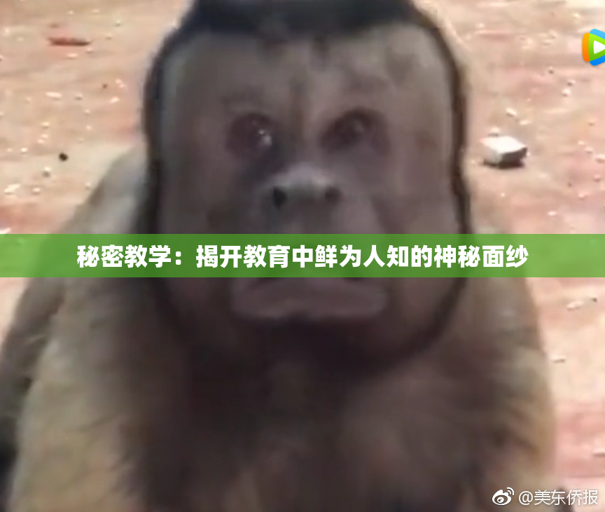 秘密教学：揭开教育中鲜为人知的神秘面纱
