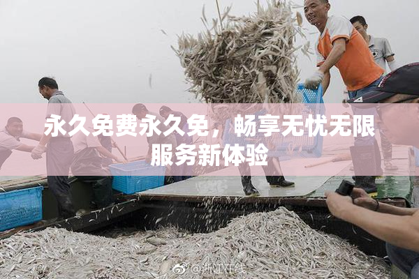 永久免费永久免，畅享无忧无限服务新体验