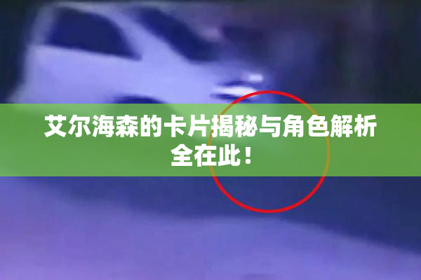 艾尔海森的卡片揭秘与角色解析全在此！