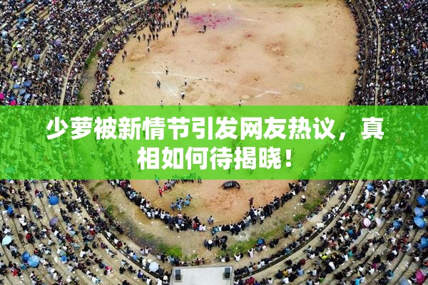 少萝被新情节引发网友热议，真相如何待揭晓！