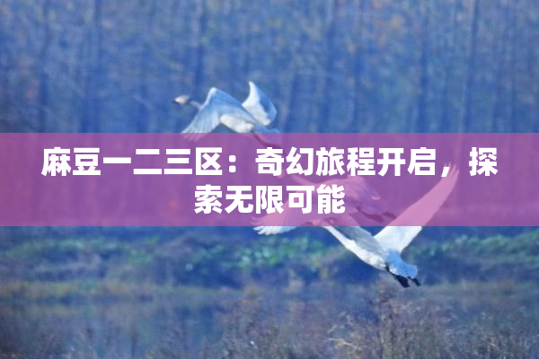 麻豆一二三区：奇幻旅程开启，探索无限可能
