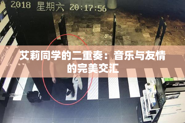 艾莉同学的二重奏：音乐与友情的完美交汇