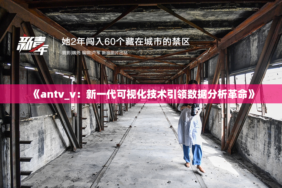 《antv_v：新一代可视化技术引领数据分析革命》