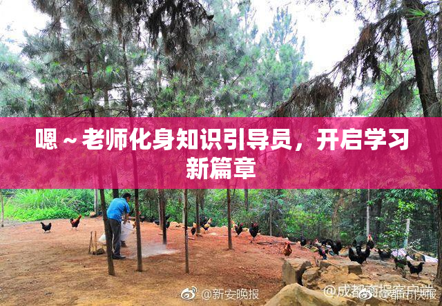 嗯～老师化身知识引导员，开启学习新篇章