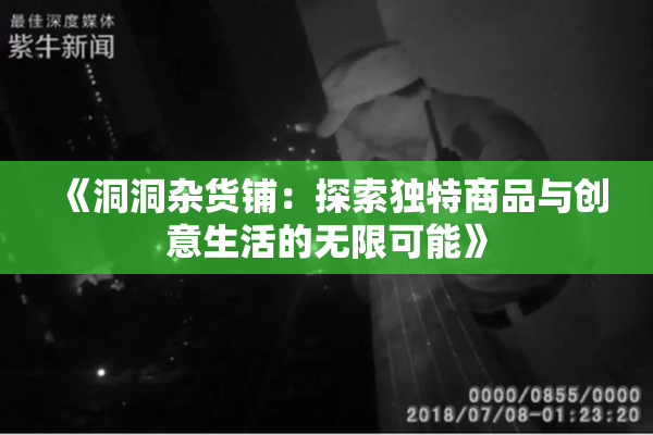 《洞洞杂货铺：探索独特商品与创意生活的无限可能》