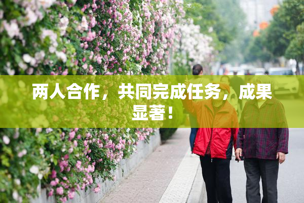 两人合作，共同完成任务，成果显著！