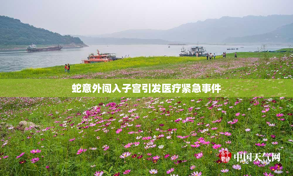 蛇意外闯入子宫引发医疗紧急事件
