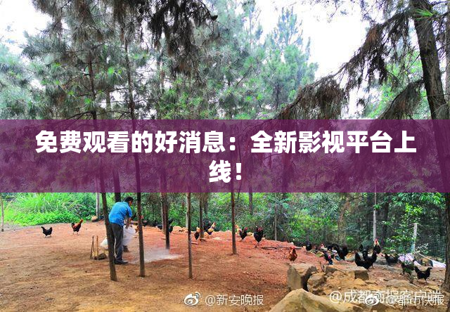 免费观看的好消息：全新影视平台上线！