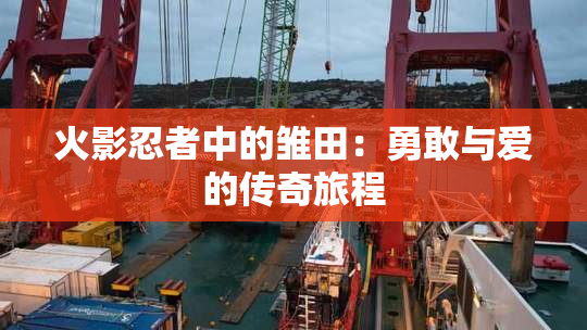 火影忍者中的雏田：勇敢与爱的传奇旅程