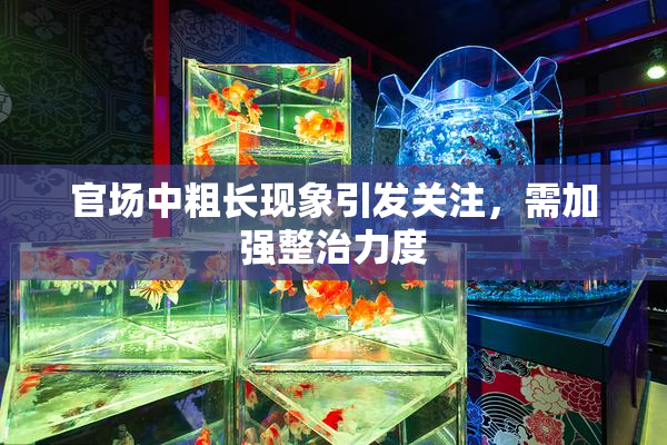 官场中粗长现象引发关注，需加强整治力度