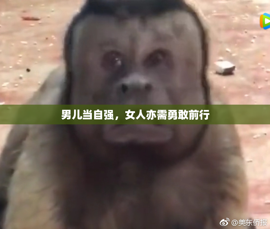 男儿当自强，女人亦需勇敢前行
