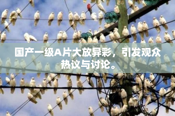国产一级A片大放异彩，引发观众热议与讨论。