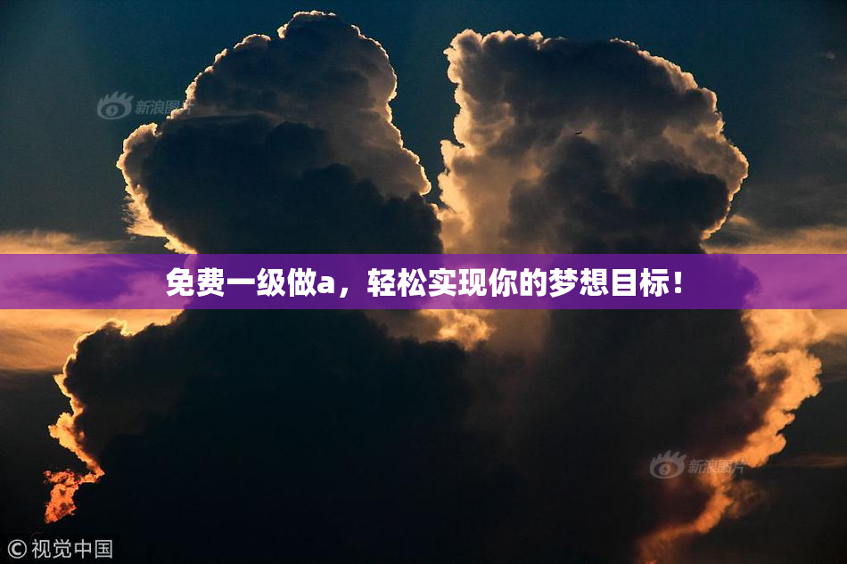 免费一级做a，轻松实现你的梦想目标！