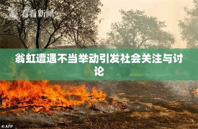 翁虹遭遇不当举动引发社会关注与讨论
