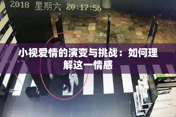 小视爱情的演变与挑战：如何理解这一情感