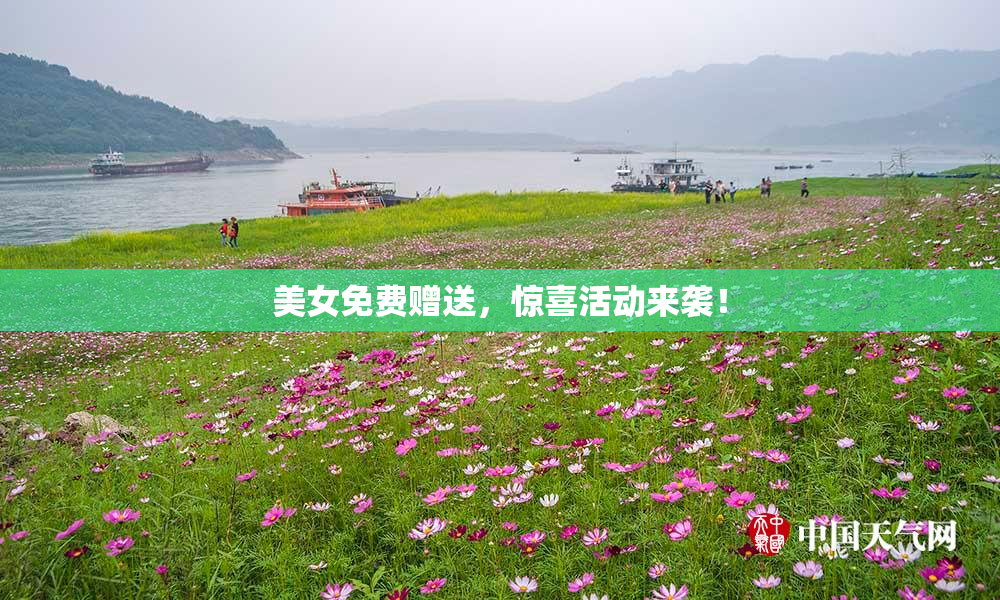 美女免费赠送，惊喜活动来袭！