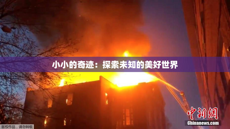 小小的奇迹：探索未知的美好世界