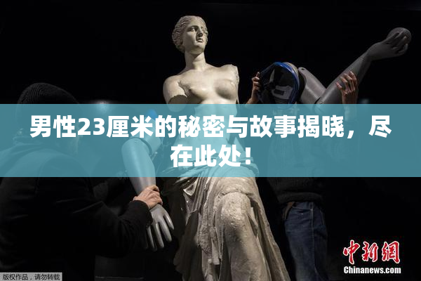 男性23厘米的秘密与故事揭晓，尽在此处！