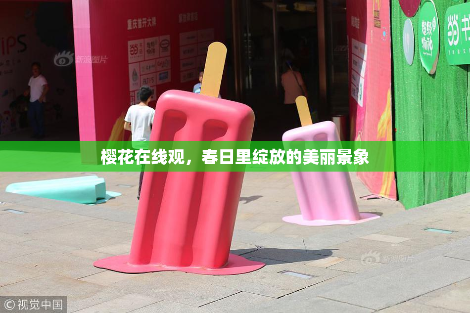 樱花在线观，春日里绽放的美丽景象