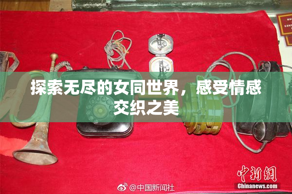 探索无尽的女同世界，感受情感交织之美