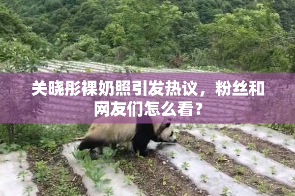关晓彤裸奶照引发热议，粉丝和网友们怎么看？