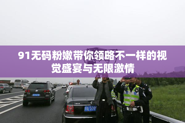91无码粉嫩带你领略不一样的视觉盛宴与无限激情