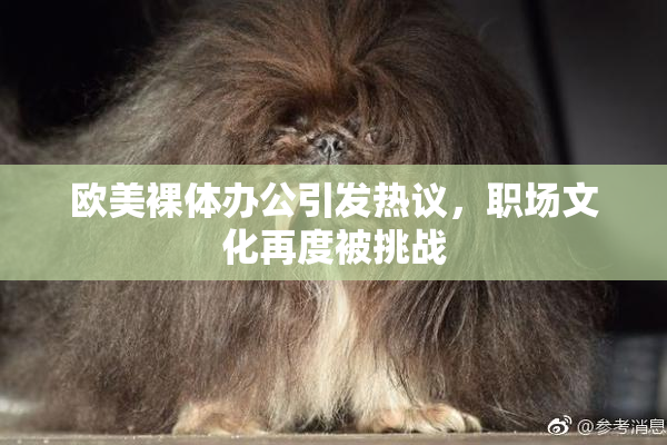 欧美裸体办公引发热议，职场文化再度被挑战