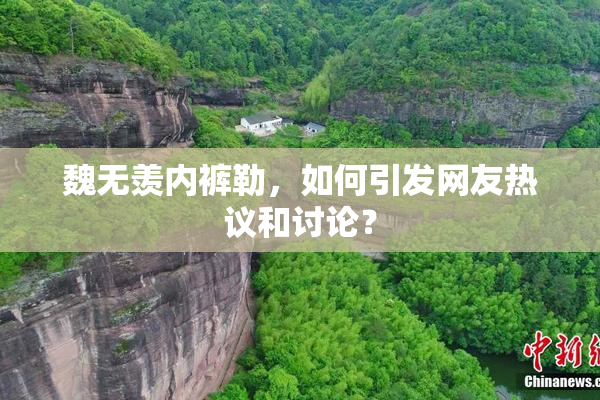 魏无羡内裤勒，如何引发网友热议和讨论？