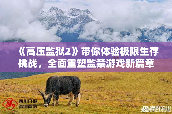 《高压监狱2》带你体验极限生存挑战，全面重塑监禁游戏新篇章！