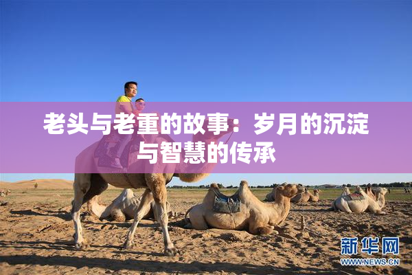 老头与老重的故事：岁月的沉淀与智慧的传承