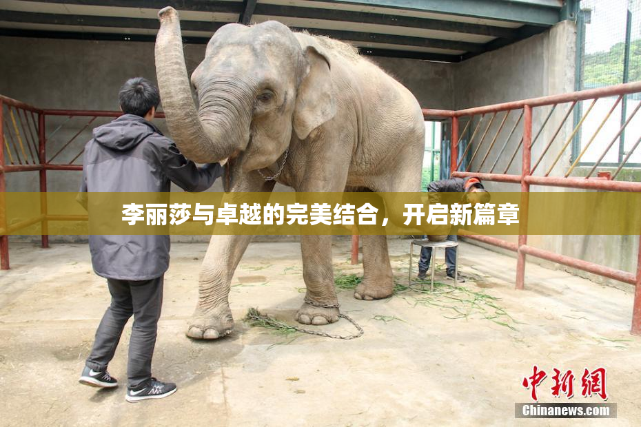 李丽莎与卓越的完美结合，开启新篇章