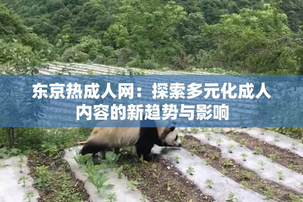 东京热成人网：探索多元化成人内容的新趋势与影响