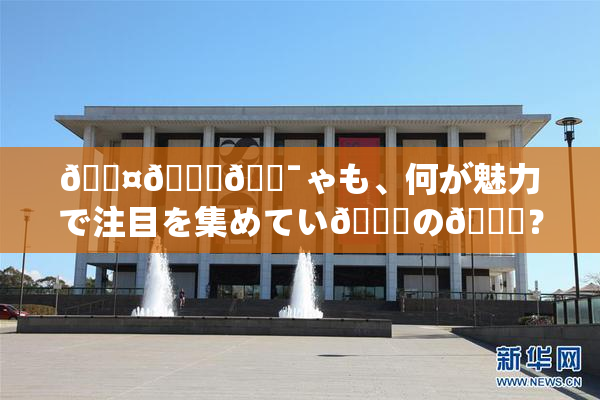 🖤🌃🔯ゃも、何が魅力で注目を集めてい🌃の💋？