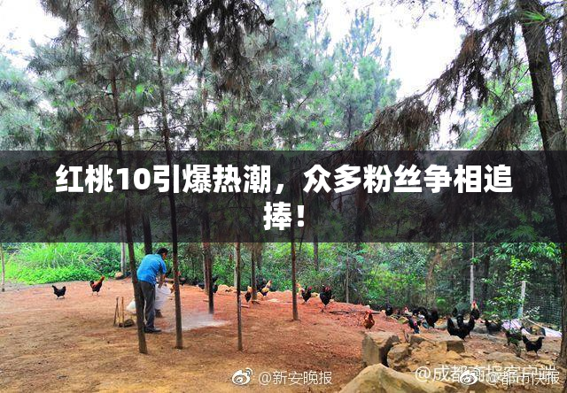 红桃10引爆热潮，众多粉丝争相追捧！