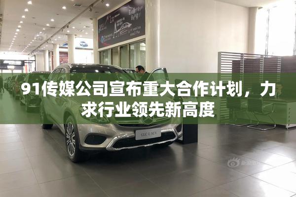 91传媒公司宣布重大合作计划，力求行业领先新高度