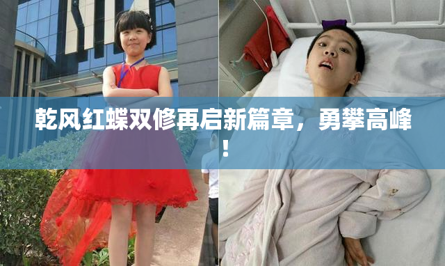 乾风红蝶双修再启新篇章，勇攀高峰！