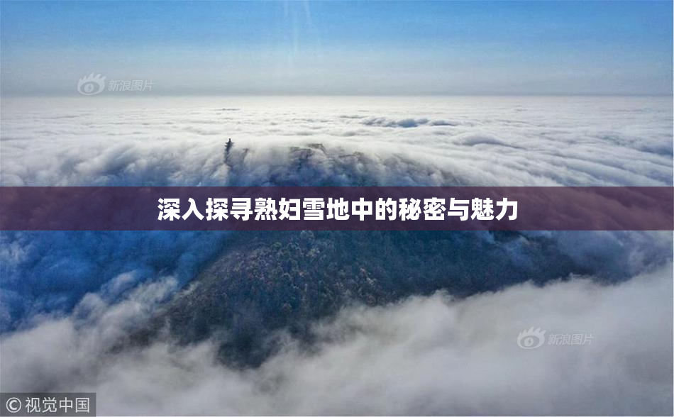 深入探寻熟妇雪地中的秘密与魅力