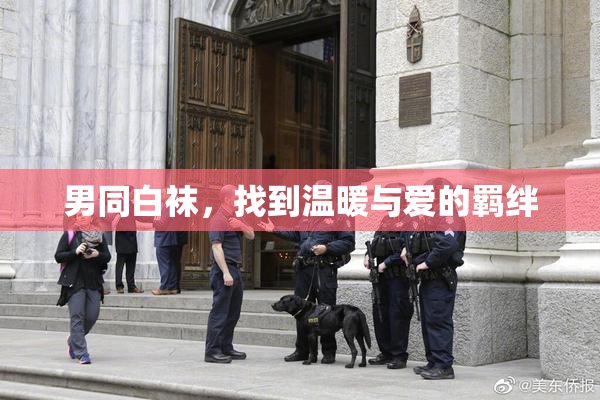 男同白袜，找到温暖与爱的羁绊