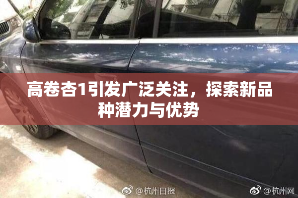 高卷杏1引发广泛关注，探索新品种潜力与优势