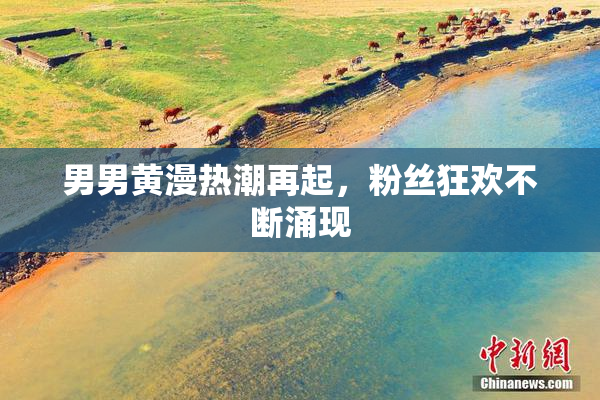 男男黄漫热潮再起，粉丝狂欢不断涌现
