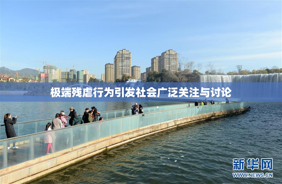 极端残虐行为引发社会广泛关注与讨论