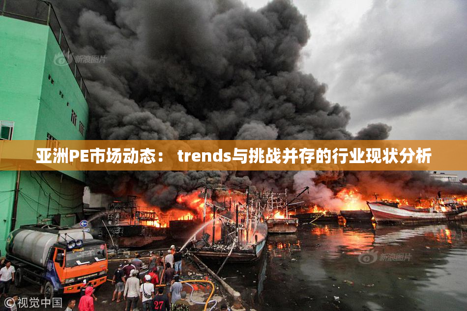 亚洲PE市场动态： trends与挑战并存的行业现状分析