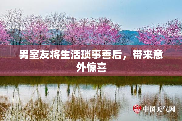 男室友将生活琐事善后，带来意外惊喜