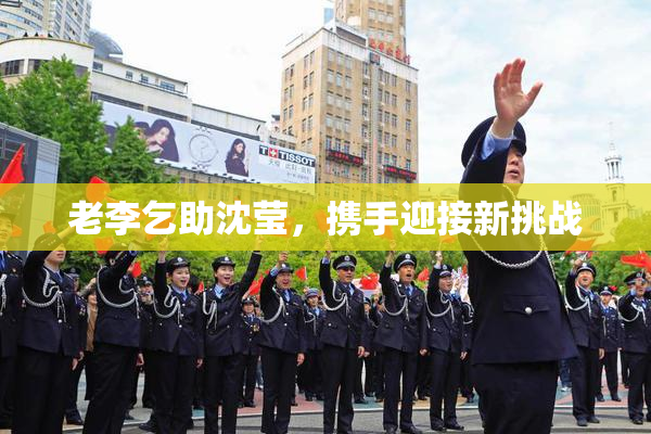 老李乞助沈莹，携手迎接新挑战