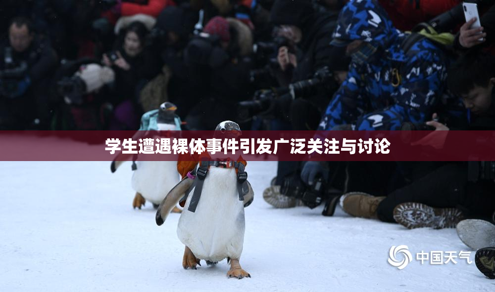 学生遭遇裸体事件引发广泛关注与讨论