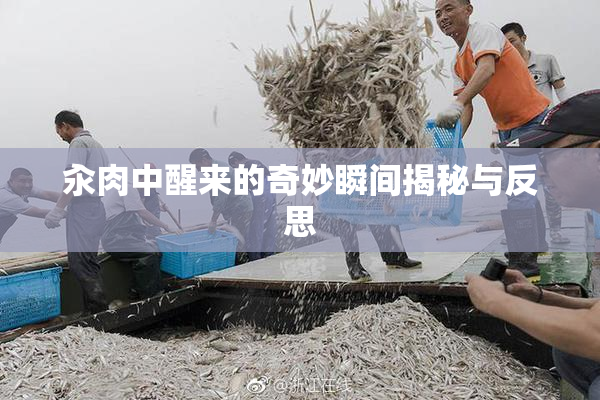 汆肉中醒来的奇妙瞬间揭秘与反思